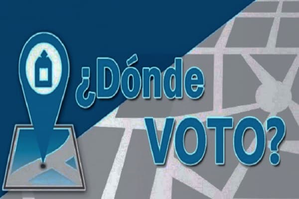 Dónde voto: consulté el padrón electoral para las PASO 2021
