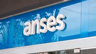 Anses confirmó fecha de pago para el complemento de las Asignaciones Familiares