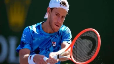 Diego Schwartzman, a cuartos de Amberes