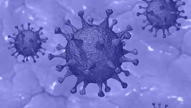 Coronavirus en Argentina: reportaron el número más alto de muertes en 24 horas desde el 17 de Septiembre de 2021 (185)