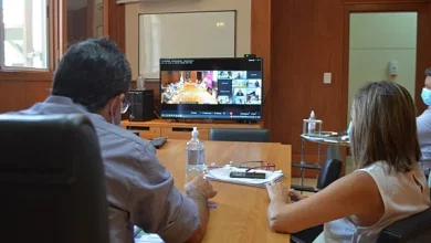 La videoconferencia que mantuvieron los ministros de Salud.