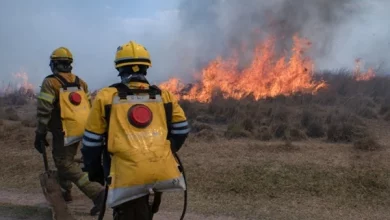 "La devastación es increíble, el fuego se lo llevó todo, esto no lo hemos visto nunca", afirmó el gobernador correntino. (Foto: Pepe Mateos).