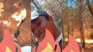 Los incendios que afectan a una parte de Corrientes ya fueron catalogados como "catástrofe".