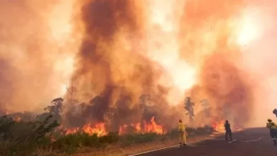 Ya se quemó el 11% de la provincia de Corrientes por los incendios