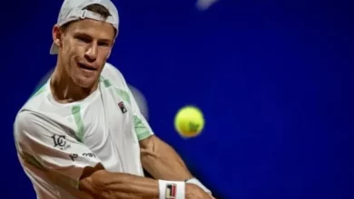 Diego Schwartzman se juega la final del Argentina Open