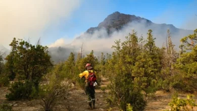 En lo que va del año ya duplicó la cantidad de hectáreas incendiadas registradas en 2021