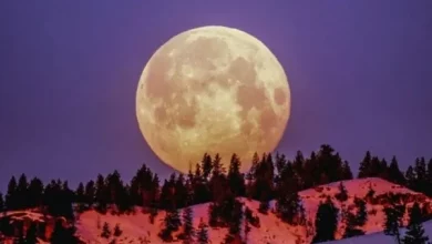 Luna de Nieve 2022: Cuándo y a qué hora podrá verse en la Argentina