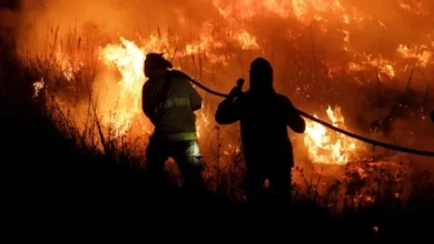 Valdés declaró a Corrientes como "zona de catástrofe ecológica y ambiental"