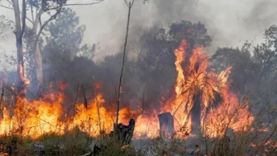 El fuego se propaga libremente y puede crecer en Corrientes.