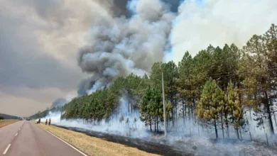 Un alivio trajo la lluvia a la acción de las brigadas que intentan apagar los incendios en Corrientes.