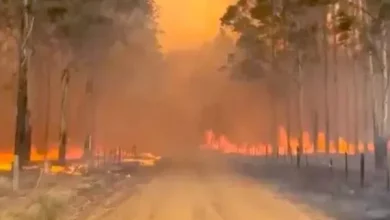 Tras las lluvias en Corrientes, el 70% de los incendios está bajo control