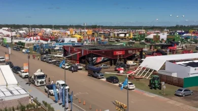 Más de 2 mil nicoleños trabajan en la nueva edición de Expoagro