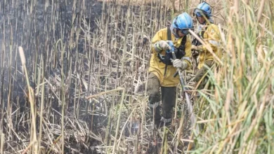 Incendios en Corrientes