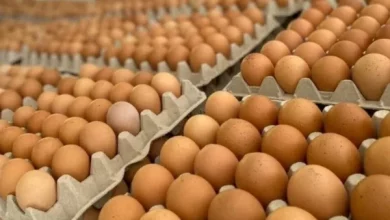 Salta el precio de los huevos y el maple ya se vende a $500