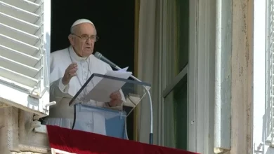 El Papa Francisco manifestó que la Santa Sede "está dipuesta a hacer de todo" por la paz.