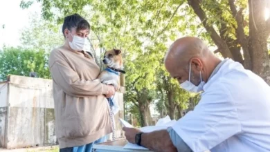 Se suspendió la jornada de castración y vacunación