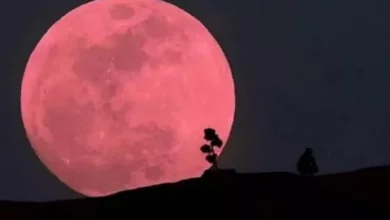 Luna Rosa en 2022