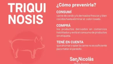 Recomendaciones para evitar el contagio de triquinosis