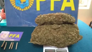 Alumnos tenían un kilo de marihuana escondido en un locker del colegio