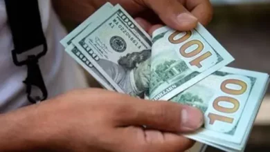 El dólar blue cerró a $ 224 y alcanzó un nuevo precio máximo