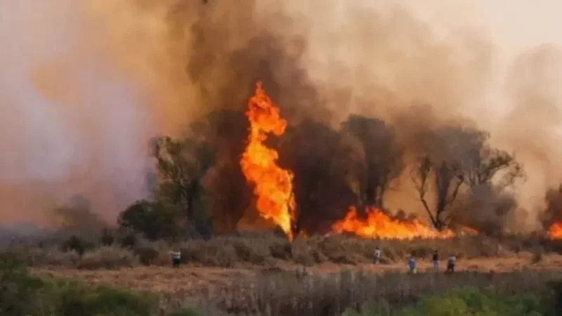 Cuatro incendios activos en las provincias de Entre Ríos y Buenos Aires