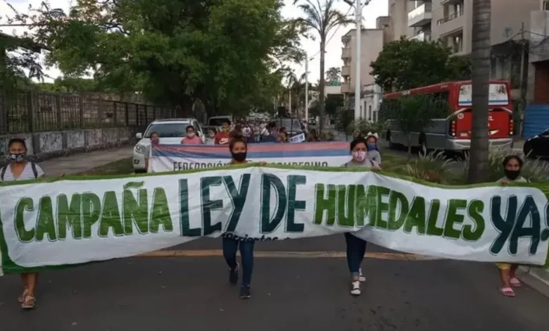 Humedales: protestas en el Congreso tras la suspensión del plenario