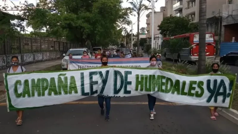 Humedales: protestas en el Congreso tras la suspensión del plenario