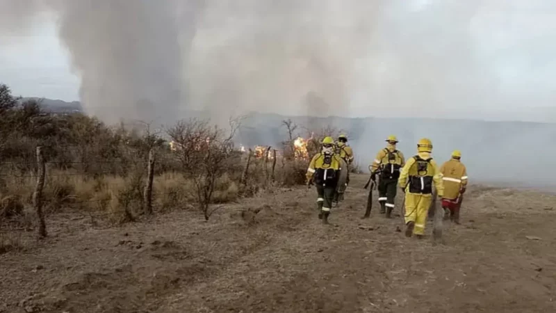 Cinco provincias registraron incendios forestales activos