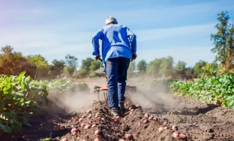 Desde el campo rechazaron el pago de un bono de $26.000 para trabajadores agrarios