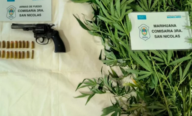 Secuestran dos plantas de marihuana, un revólver y municiones