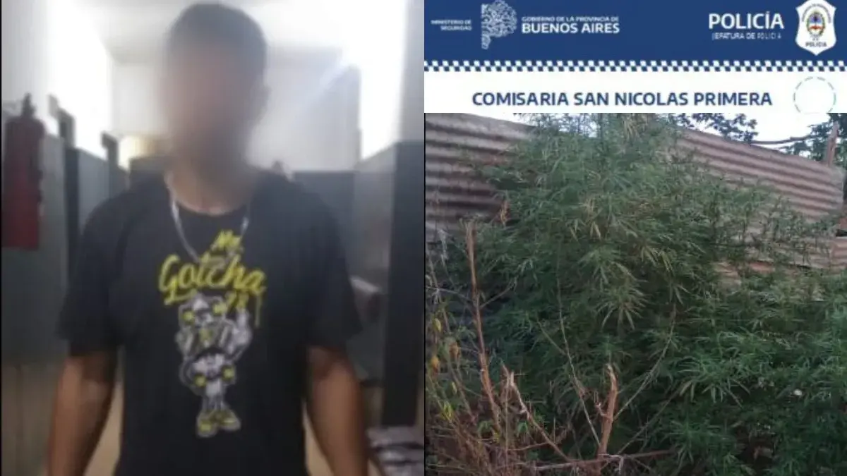 Allanamiento policial descubre plantación de marihuana en casa de sospechoso de robo