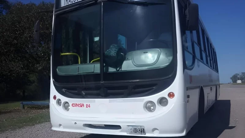 colectivo en San Nicolás