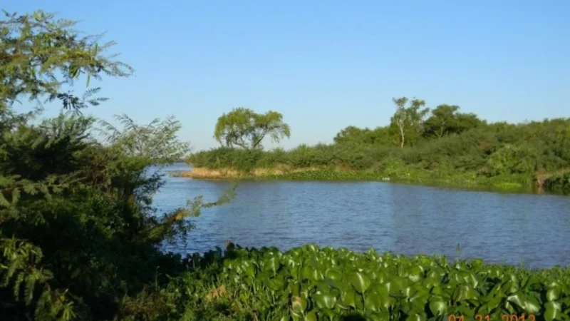 Conservación del Patrimonio Natural: ONG UPVA denuncia avance de empresa arenera en área protegida