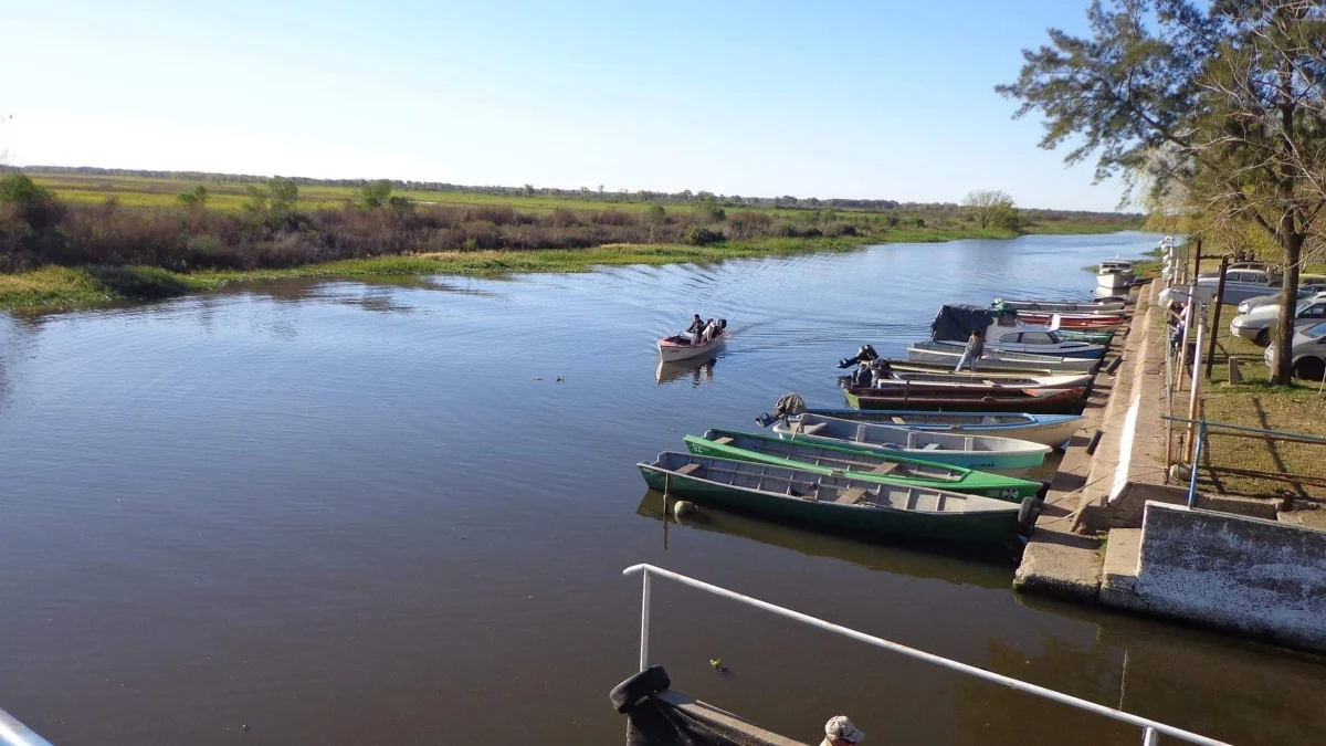 Desafíos en la bajante del río y seguridad: Superando obstáculos para navegar adelante